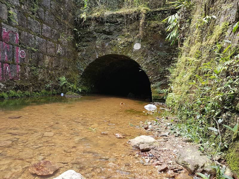 Reserva Biológica do Alto da Serra de Paranapiacaba - Image 1