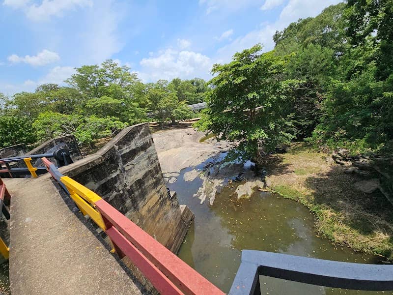 Ellagala Amuna - Image 1