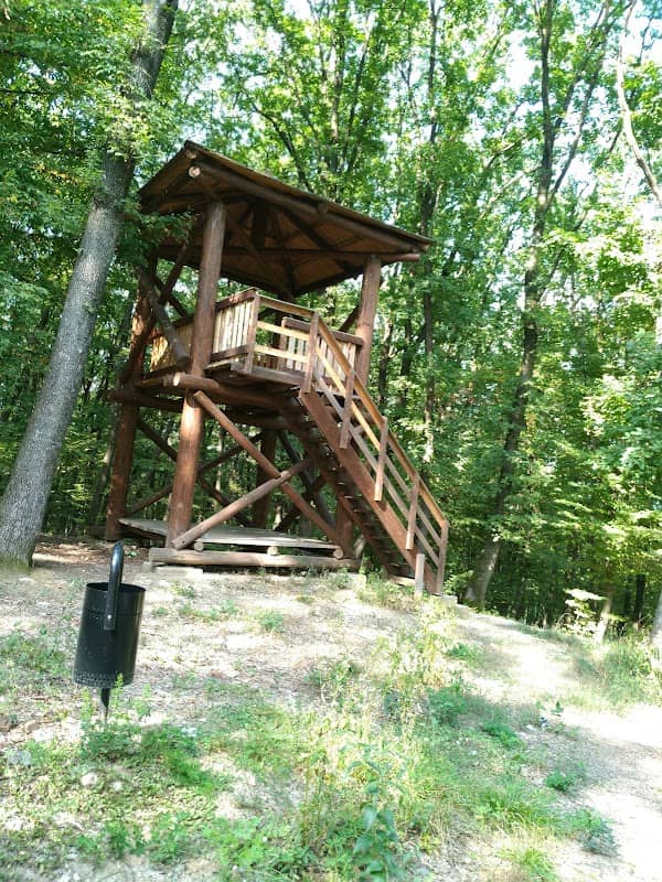 Schullerwald - Image 1