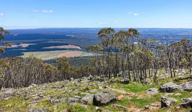 Macedon Regional Park (Parks Victoria) - Image 1