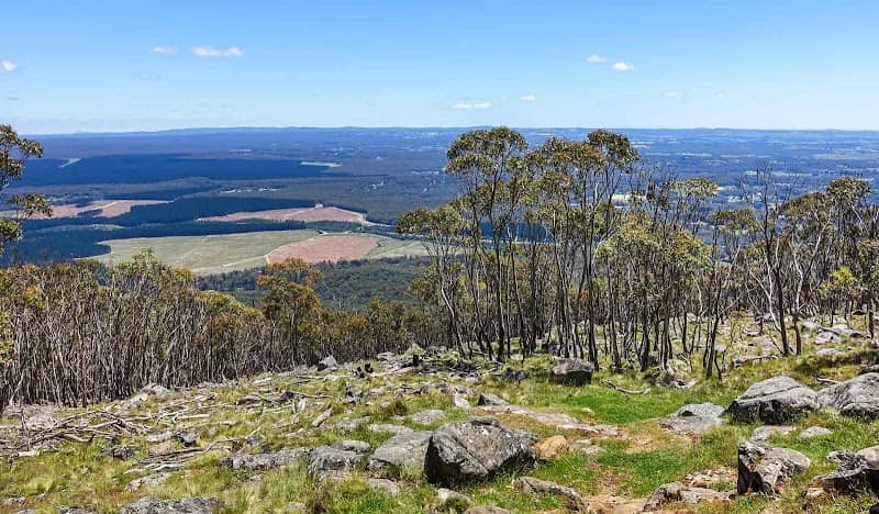 Macedon Regional Park (Parks Victoria) - Image 1