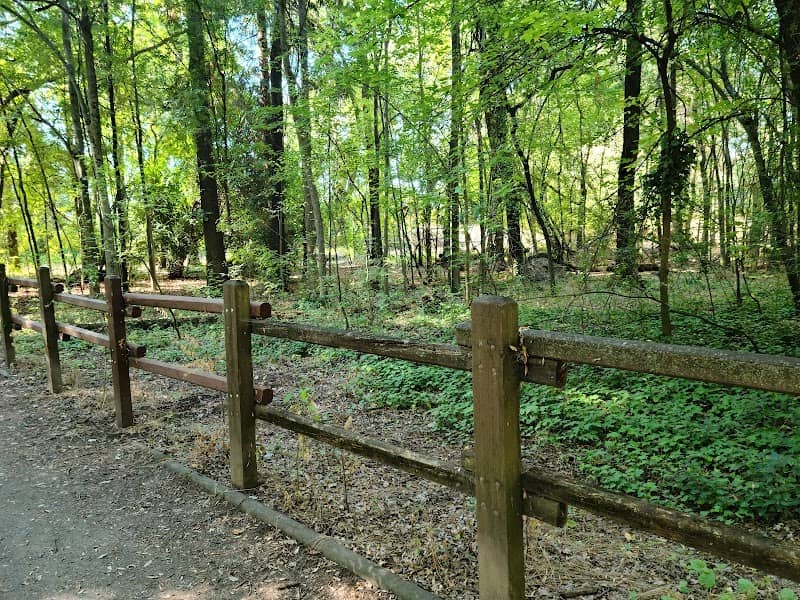 Cedar Grove Picnic Area and Meadow - Image 2