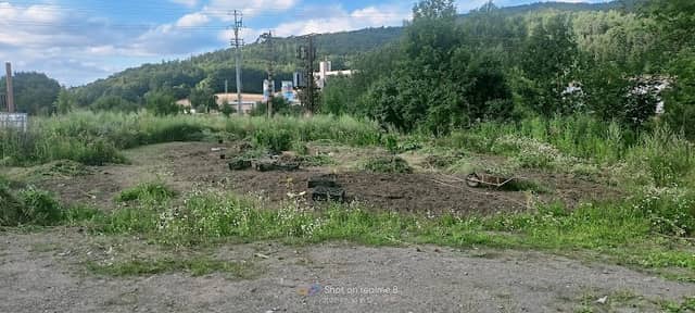 Tulipanové jaro M-závlaha - Image 1