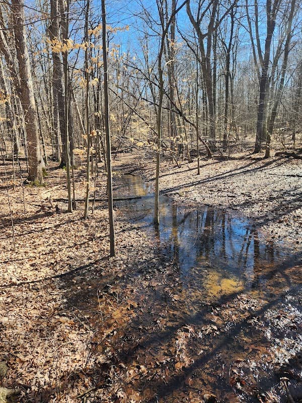 Richardson Preserve - Image 3