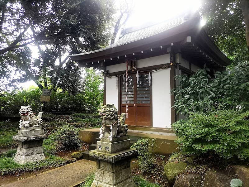 八坂神社のスダジイ - Image 2