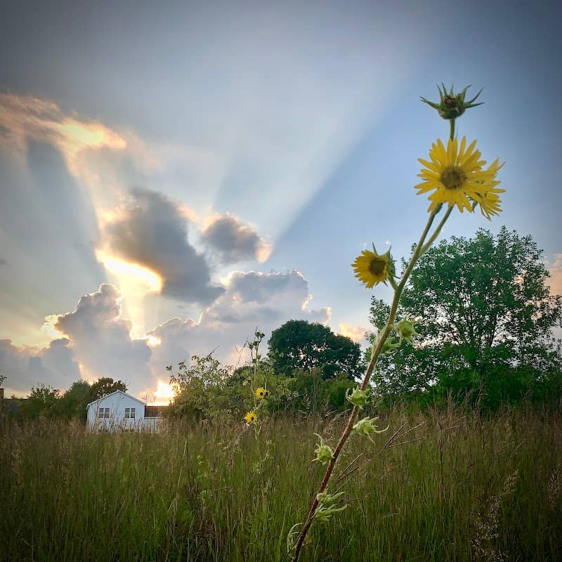 Doar Prairie Savana - Image 1