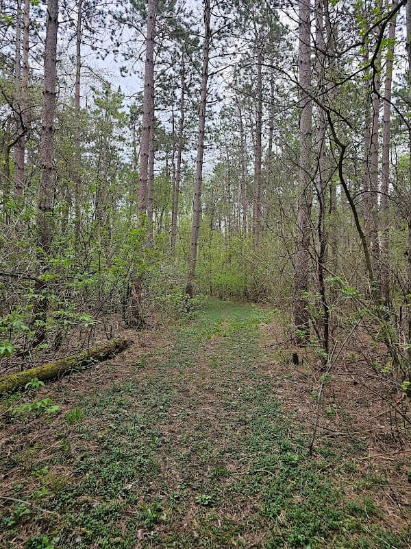 Doar Prairie Savana - Image 3