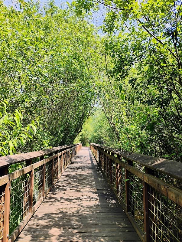 Wetlands Boardwalk Main St Trailend - Image 1