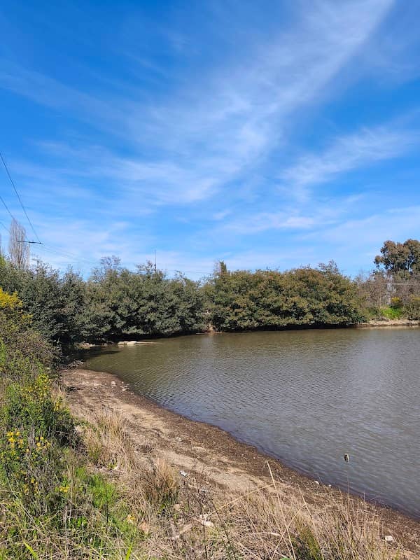 Lago Paul Harris - Image 1