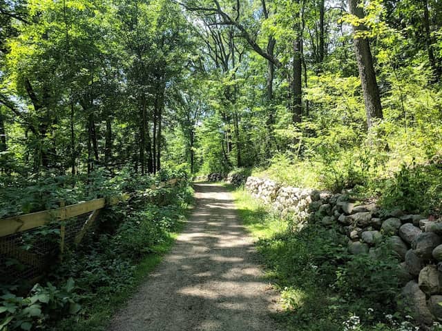 Ott Biological Preserve - Image 2