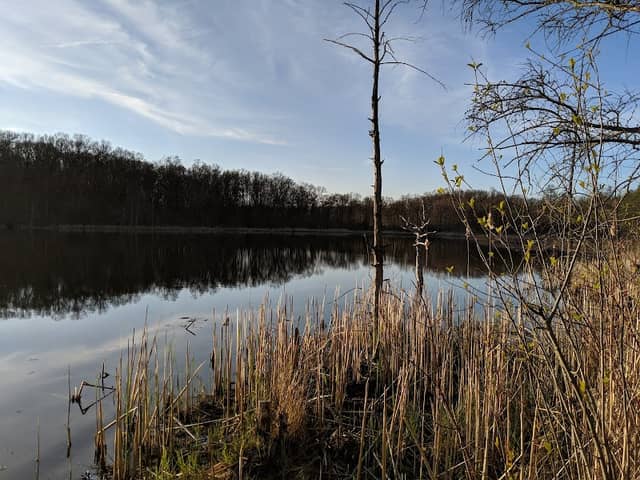 Ott Biological Preserve - Image 1