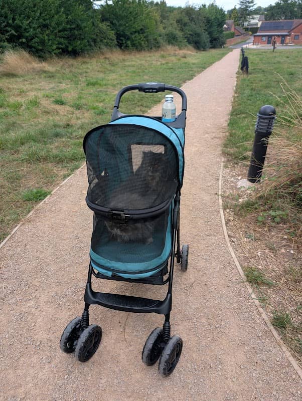 Stuart's Path - Image 1