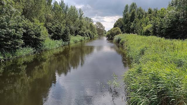 Moricaanse Bos - Image 1