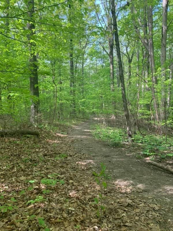 Laura Hare Preserve at Blossom Hollow - Image 1