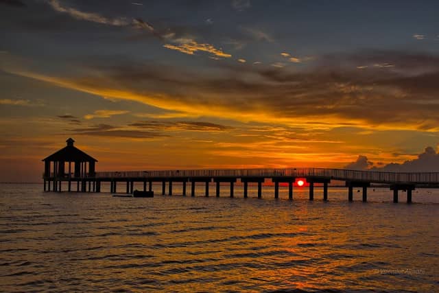 Fontainebleau State Park - Image 3