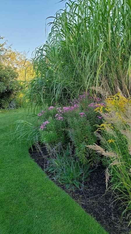 Lokier Garden - Image 3