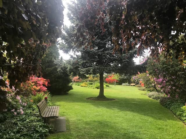 Lokier Garden - Image 1