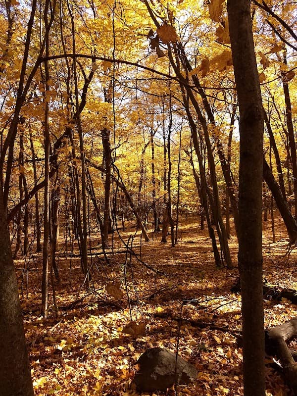 Spring Lake Regional Park - Image 3