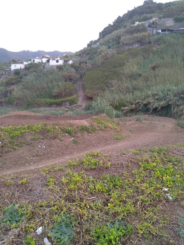 Promenade - Image 1