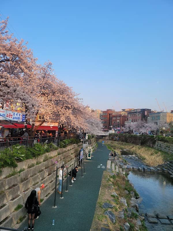 Seongbukcheon Stream Fountain Plaza - Image 2