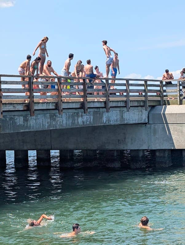 Jaws Bridge🦈🎬 - Image 2