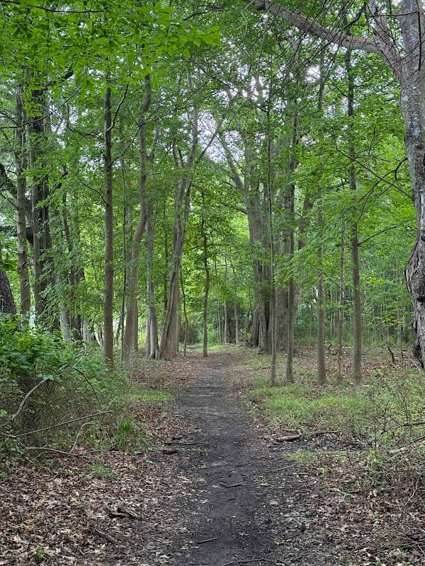 Jackson Woods - Image 2