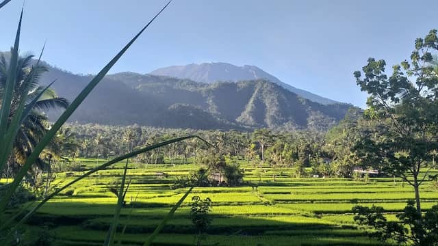 Sibetan Rice Terrace - Image 1