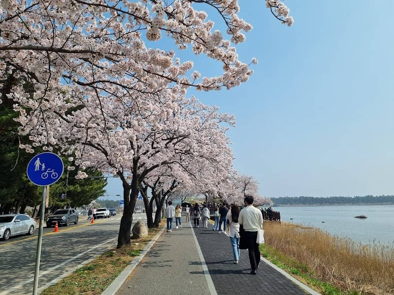 강릉 방해정 - Image 2
