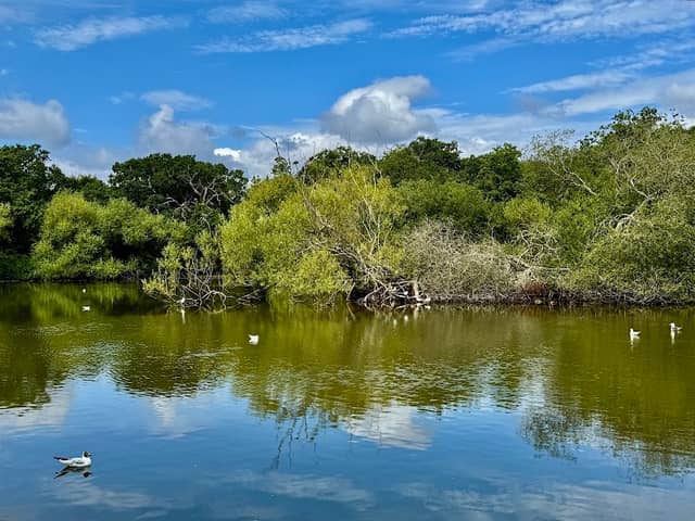Cemetery Lake - Image 2
