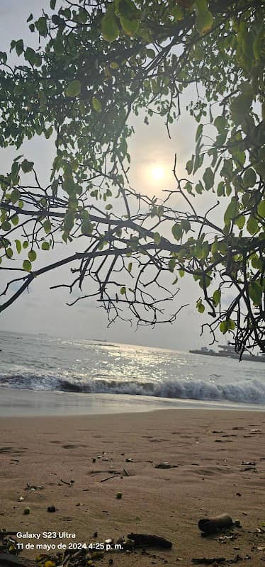 Playa las flores - Image 3