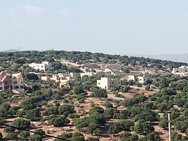 مزرعة جلعاد البوابة الجديدة - Image 1