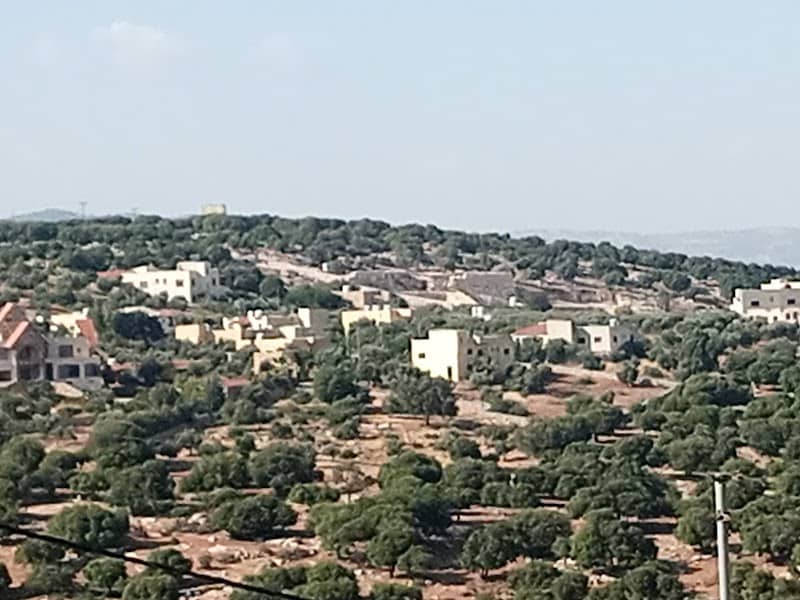 مزرعة جلعاد البوابة الجديدة - Image 1