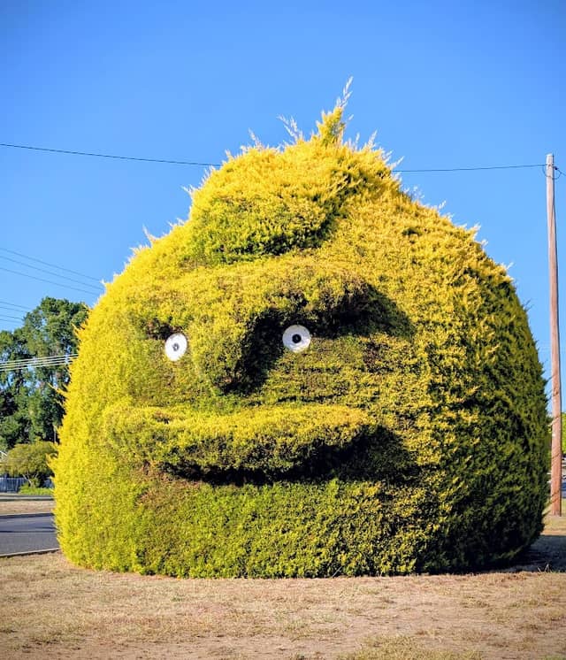Tumut Big Mohawk - Image 1