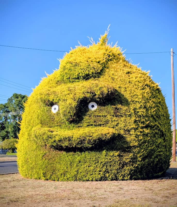 Tumut Big Mohawk - Image 1