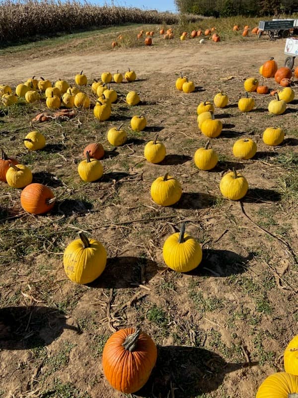 Roberts Family Farm, LLC - Image 2
