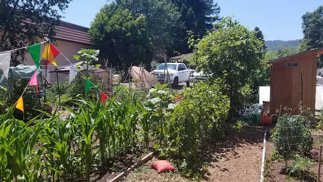 Ukiah Veterans Garden - Image 1