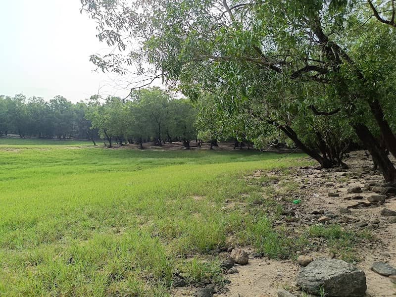 Irumbukachola view point - Image 1