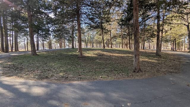 Roy Danuser Park - Image 2