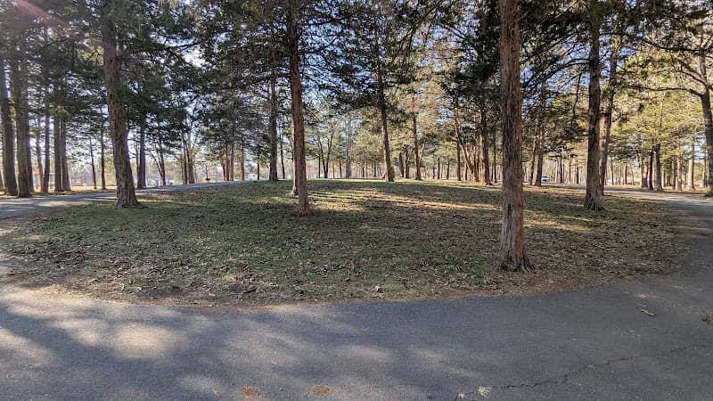 Roy Danuser Park - Image 2
