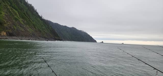 Tillamook Head - Image 1