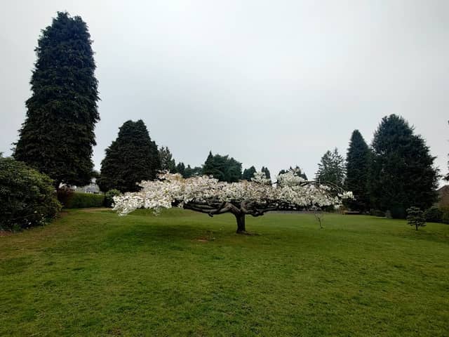 Panteg Park - Image 2