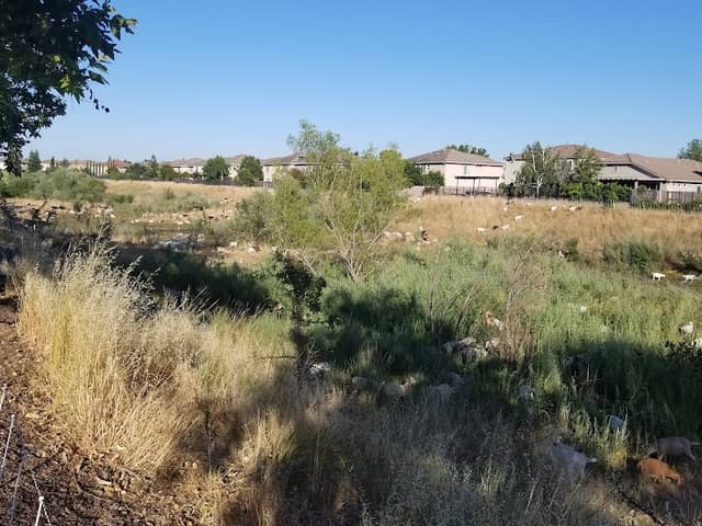 Buscher Park - Image 2