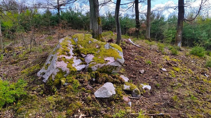 MZDOWO, głaz narzutowy - Image 1