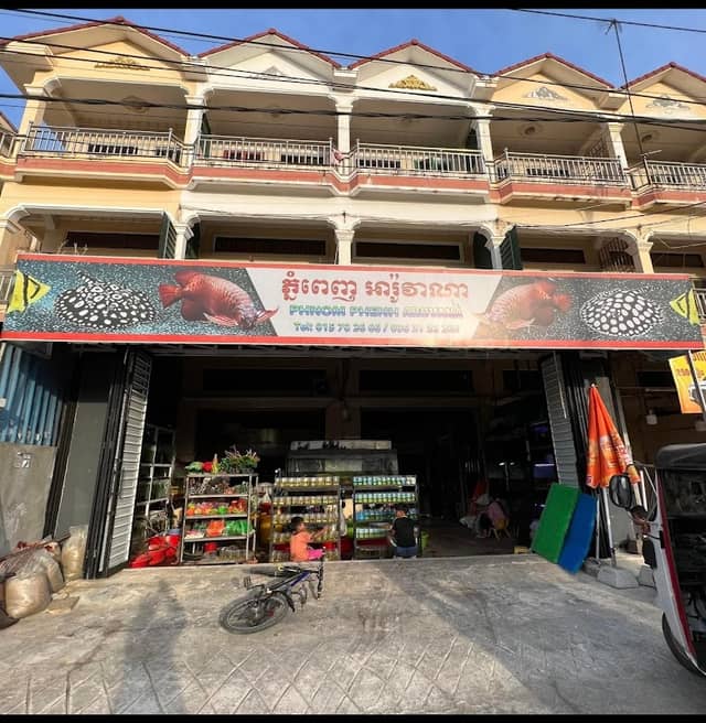 Phnom Penh Arowana - Image 1
