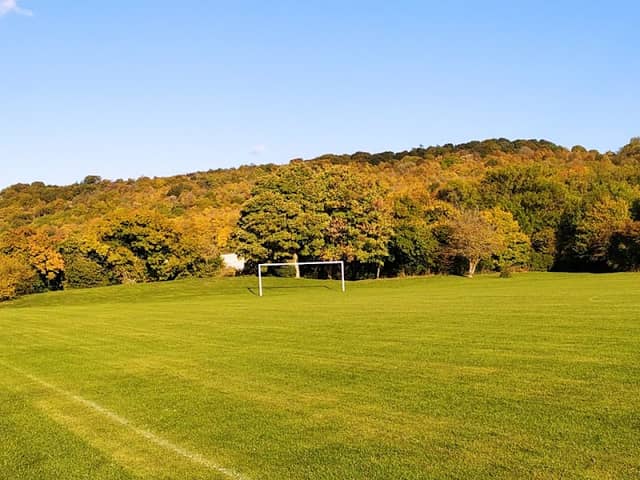 Earl Mitchell Park - Image 1