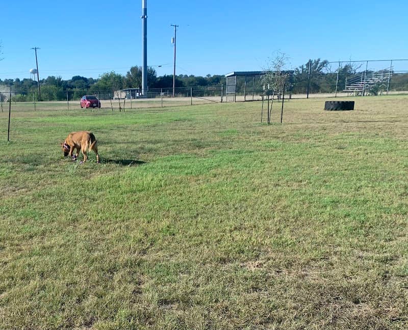 Fort Hood Dog Park - Image 2