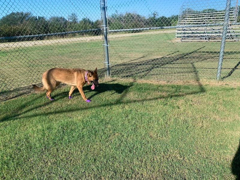 Fort Hood Dog Park - Image 1