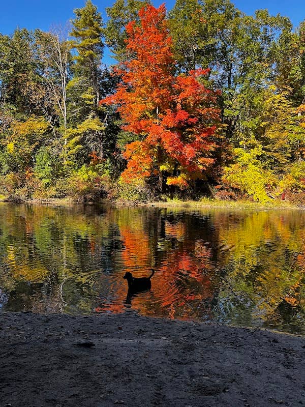 Presumpscot River Preserve - Image 2