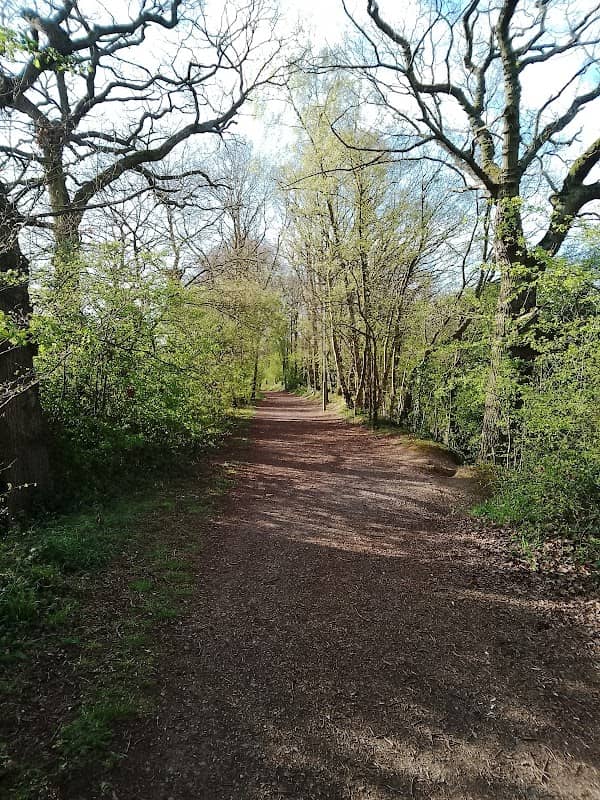 The Spinney - Image 1