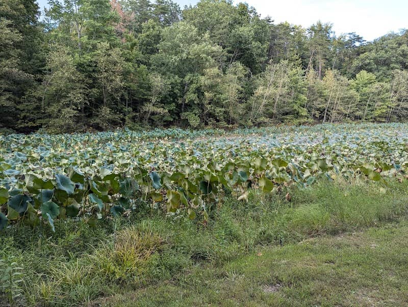 Hardy Lake Wooster Campground - Image 1